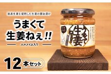 ＼レビュー投稿でお米プレゼント／スルメイカ入りうまくて生姜ねぇ!!12本セット 【しょうが 国産 醤油漬け するめいか ごはんのお供 お弁当 調味料 おつまみ 肴 薬味 隠し味 猪苗代町 福島県】[№5771-1335]