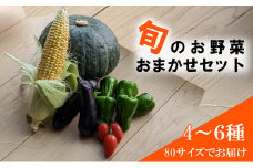 旬の野菜おまかせセット4～6種 80サイズ箱でお届け ｜ 猪苗代産 野菜 新鮮 野菜セット 農家直送 産地直送 詰め合わせ おまかせ ※2025年9月中旬～11月上旬頃に順次発送予定 ※沖縄・離島への配送不可