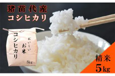 米 令和6年度産 コシヒカリ 5kg 白米 精米 生産者直送 直送 [№5771-1386]
