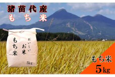 ＼レビュー投稿でお米プレゼント／令和6年度産 もち米 5kg 餅 赤飯 おはぎ おこわ 雑煮 大福 あられ イベント 餅つき  [№5771-1389]