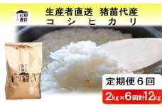 【定期便 6回】【令和7年度産 新米予約】 米 コシヒカリ 12kg(2kg×6回) 白米 精米 ※2025年11月下旬頃より順次発送予定 ※沖縄・離島への配送不可