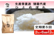 【定期便 6回】【令和7年度産 新米予約】 米 ひとめぼれ 12kg(2kg×6回) 白米 精米 ※2025年11月下旬頃より順次発送予定 ※沖縄・離島への配送不可