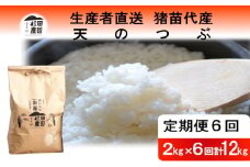 【定期便 6回】【令和7年度産 新米予約】 米 天のつぶ 12kg(2kg×6回) 白米 精米 ※2025年11月下旬頃より順次発送予定 ※沖縄・離島への配送不可