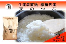 【令和7年度産 新米予約】 米 天のつぶ 2kg 白米 精米 ※2025年11月下旬頃より順次発送予定 ※沖縄・離島への配送不可