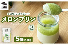 ＼レビュー投稿でお米プレゼント／ころたん メロン プリン 5個入 ｜ 冷凍 洋菓子 冷凍 スイーツ デザート お菓子 ※沖縄・離島への配送不可