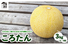 ＼レビュー投稿でお米プレゼント／「ころたん」メロン 3kg 2～3個 ※沖縄・離島への配送不可 ※2025年8月上旬～10月中旬頃に順次発送予定