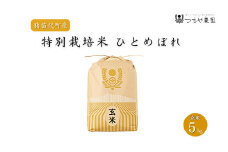 【令和7年度産 新米】 つちや農園 猪苗代町産 玄米 特別栽培米ひとめぼれ 5kg（玄米）| お米 米 ひとめぼれ ※2025年11月上旬頃より順次発送予定