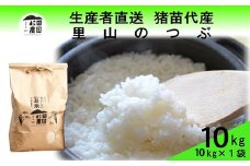 【令和7年度産 新米予約】 米 里山のつぶ 10kg(10kg×1袋) 白米 精米 ※2025年11月下旬頃より順次発送予定 ※沖縄・離島への配送不可