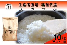 【令和7年度産 新米予約】 米 天のつぶ 10kg(10kg×1袋) 白米 精米 ※2025年11月下旬頃より順次発送予定 ※沖縄・離島への配送不可