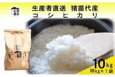 【令和7年度産 新米予約】 米 コシヒカリ 10kg(10kg×1袋) 白米 精米 ※2025年11月下旬頃より順次発送予定 ※沖縄・離島への配送不可