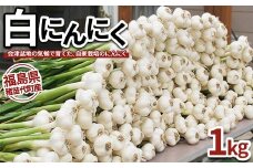 【2025年先行予約】【数量限定】白にんにく 1kg 国産 猪苗代産　※沖縄、離島への配送不可　※2025年9月上旬頃より順次発送予定