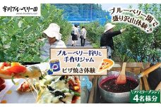 【2026年先行予約】【数量限定】ブルーベリー狩りと手作りジャム＆ピザ焼き体験ファミリープラン（4名様分）　※沖縄、離島への配送不可　※2026年7月上旬頃～8月中旬頃に順次発送予定