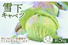［2025年先行予約］雪下キャベツ（2～3玉入/1箱 約5kg） | ブランド野菜 甘み 旨み 産地直送 ※沖縄・離島への配送不可 ※2026年1月上旬頃より順次発送予定