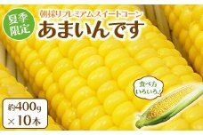夏季限定 朝採り プレミアムスイートコーン 「あまいんです」 10本 約4kg | 激甘 フルーツとうもろこし 産地直送 ※沖縄・離島への配送不可