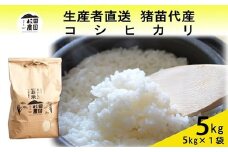 【令和7年度産 新米予約】 米 コシヒカリ 5kg 白米 精米 ※2025年11月下旬頃より順次発送予定 ※沖縄・離島への配送不可