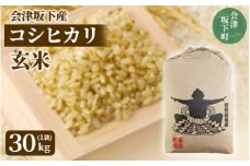 コシヒカリ 玄米 会津 30kg 令和6年 特別栽培米 減農薬 米 お米 藤川農産 3-D ※2024年10月中旬頃より順次発送予定