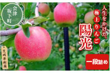 17-G　[予約開始！]　荒明果樹園　人生をかけた、極上りんご（陽光）5kg（一段詰め）｜りんご リンゴ 林檎 果物 くだもの フルーツ 福島県 会津坂下町　※2024年10月中旬頃～順次発送予定