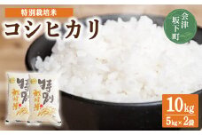 コシヒカリ 白米 会津 5kg 2袋 計10kg 令和6年産米 減農薬 特別栽培米 米 お米 藤川農産 3-C ※2024年10月中旬頃より順次発送予定