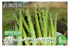26-A 鮮度抜群！佐瀬農園のグリーンアスパラガス ※2025年4月中旬～9月上旬頃に順次発送予定
