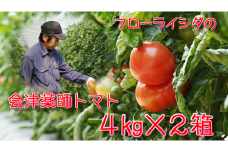 15-L　フローライシダ　会津薬師トマト　4kg×2箱（14・16・18・20ケ入　玉数お任せ）　※沖縄・離島への配送不可