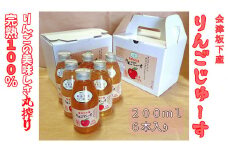 16-N　相良農場　りんごジュース200ml6本入り×2箱　（品種違い組み合わせ）小箱セット