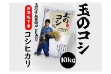 36-A （株）T.Farming　玉のコシ（玉川さんちのコシヒカリ）（令和6年産米）会津坂下産コシヒカリ　白米10kg×1袋　※沖縄・離島への配送不可　※2024年10月中旬頃より順次発送予定