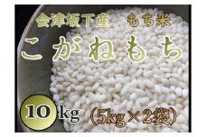 36-C　T.Farming　こがねもち（令和6年産米）会津坂下産もち米　10kg（5kg×2袋）｜ 福島県 会津坂下町発の「こがねもち」は、粘りとコシのある国産の単一米です。お赤飯やお餅、おこわに最適です。　※沖縄・離島への配送不可