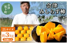 【予約開始】柿 会津みしらず柿 2Lサイズ 16個入り 約3kg フルーツ 果物 ギフト 渋柿 会津 伊藤果樹園 ※2025年11月頃より順次発送予定 23-D