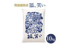 3-K　福笑い10kg◇ ※2024年11月上旬頃より順次発送予定