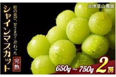【予約開始】  完熟シャインマスカット 650 ~ 750g 2房 （会津里山農園）47-B ｜ 福島 ぶどう 皮ごと 種なし シャインマスカット 先行予約 ※2025年10月上旬頃～中旬頃に順次発送