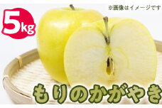 50-C　伊藤りんご園　もりのかがやき　5kg｜りんご 福島県産 リンゴ　※2025年10月上旬頃より順次発送予定