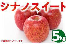50-E 伊藤りんご園 シナノスイート 5kg｜りんご リンゴ 林檎 果物 くだもの フルーツ 福島県 会津坂下町 ※2024年10月上旬頃より順次発送予定