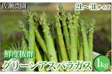26-B 特選！アスパラガス1kg（2L～3L)サイズ ※2025年4月中旬～5月中旬頃に順次発送予定