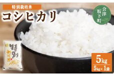 コシヒカリ 白米 会津 5kg 1袋 令和6年産米 減農薬 特別栽培米 米 お米 藤川農産 3-L ※2024年10月中旬頃より順次発送予定