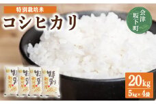 コシヒカリ 白米 会津 5kg 4袋 計20kg 令和6年産米 減農薬 特別栽培米 米 お米 藤川農産 3-M ※2024年10月中旬頃より順次発送予定