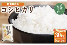 【6ヶ月定期便】コシヒカリ 白米 会津 5kg 6回 計30kg 令和6年産米 減農薬 特別栽培米 米 お米 藤川農産 3-N ※2024年10月中旬頃より順次発送予定