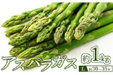 60-B アスパラガスLサイズ1kg（約30～35本）※2025年4月下旬～9月上旬頃に順次発送予定