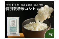 令和7年産湯川村産特別栽培米コシヒカリ　5㎏精米　R7.12月発送