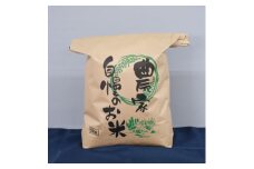 ＜令和4年産＞柳津産コシヒカリ(5kg)【1218560】