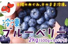 ＜摘みたて冷凍＞自然の中で育った冷凍ブルーベリー(500g×4パック)【1362345】
