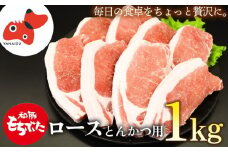 ジューシー!　ブランド豚　「和豚もちぶた」ロースとんかつ・ソテー用1kg【1370786】