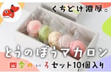 世界No.1パティシエが作る　さっくりぎっしり!保存料不使用の「とうのぼうマカロン」10個入り【1460477】