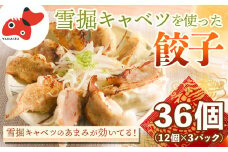 ＜雪堀キャベツ使用!＞キャベツのあまみが効いてる餃子　36個(12個入×3パック)【1501163】