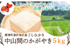 ＜令和7年産先行受付＞柳津町黒沢地区産こしひかり「中山間のかがやき」5kg 〈10月末より順次発送〉【1535163】
