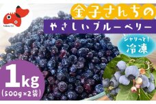 山あいで育ったやさしい甘さ。冷凍ブルーベリー＜植物性堆肥使用＞500g×2袋【1573250】