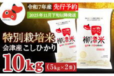 ＜11月下旬より順次発送＞柳津産のおいしい特別栽培こしひかり「柳津米」＜令和7年産先行予約＞【1590449】