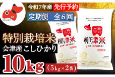 ＜発送月固定定期便＞令和7年11月下旬より発送開始/柳津産のおいしい特別栽培こしひかり全6回【4064543】