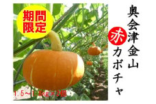 【2週間限定】奥会津金山赤カボチャ(２個入)