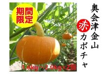【3週間限定】【数量限定】奥会津金山赤カボチャ(２個入)