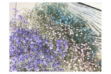 金山町産　２色のかすみ草花束